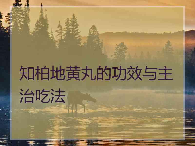 知柏地黄丸的功效与主治吃法