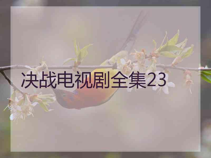 决战电视剧全集23