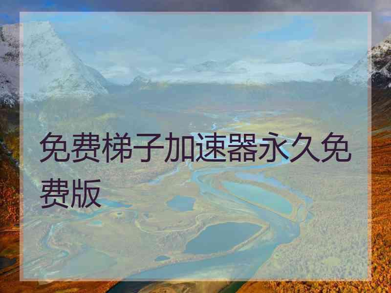 免费梯子加速器永久免费版