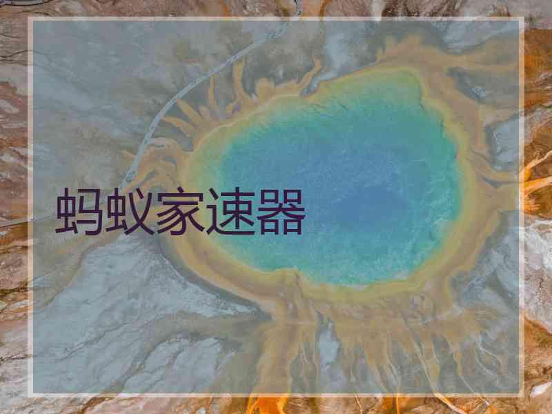 蚂蚁家速器