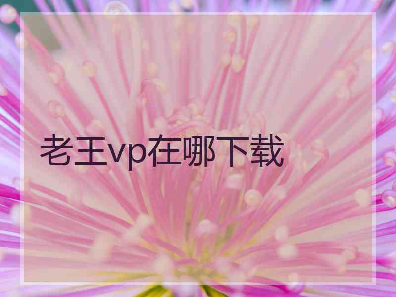 老王vp在哪下载