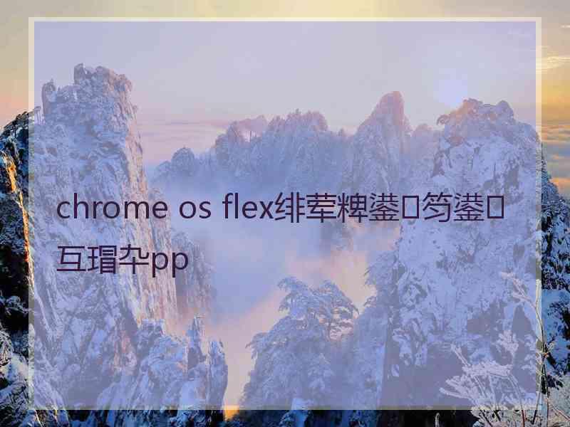 chrome os flex绯荤粺鍙笉鍙互瑁卆pp