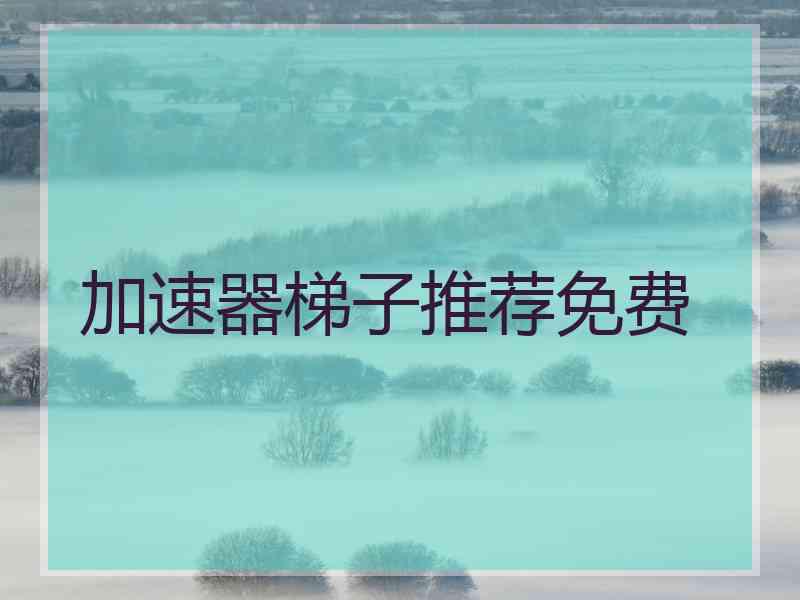 加速器梯子推荐免费