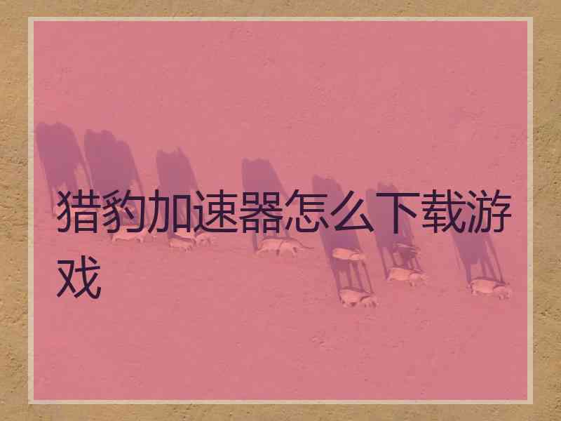 猎豹加速器怎么下载游戏
