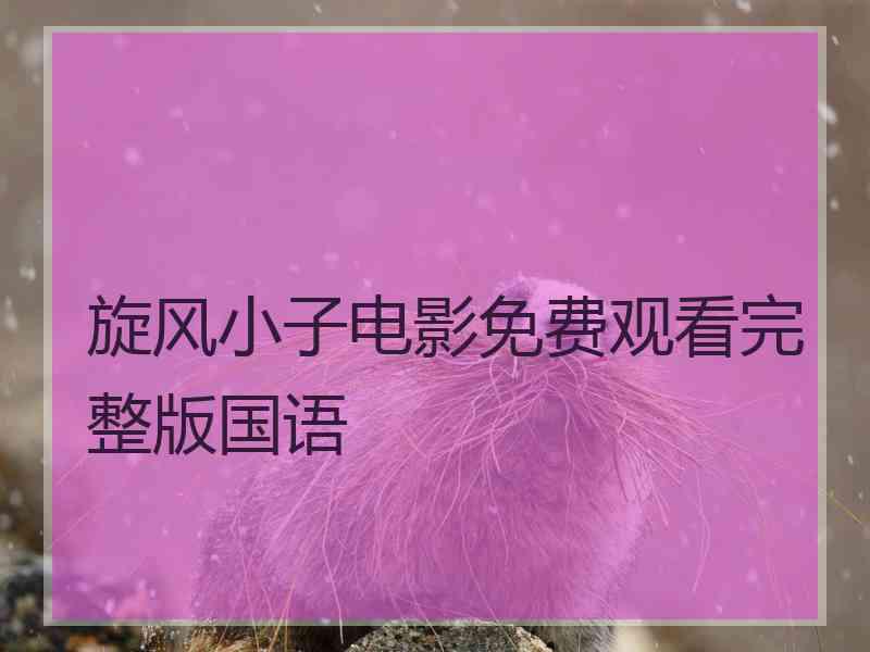 旋风小子电影免费观看完整版国语