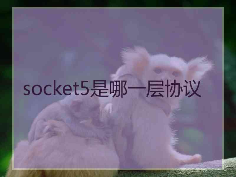 socket5是哪一层协议