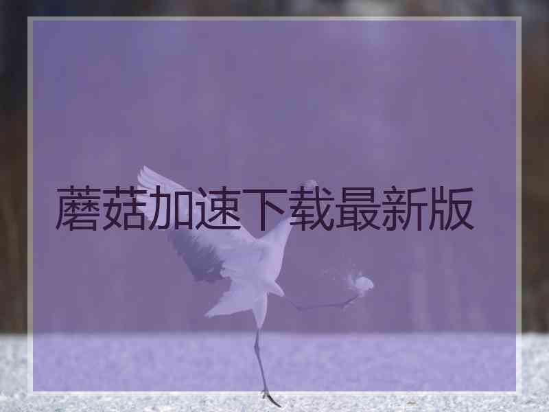 蘑菇加速下载最新版