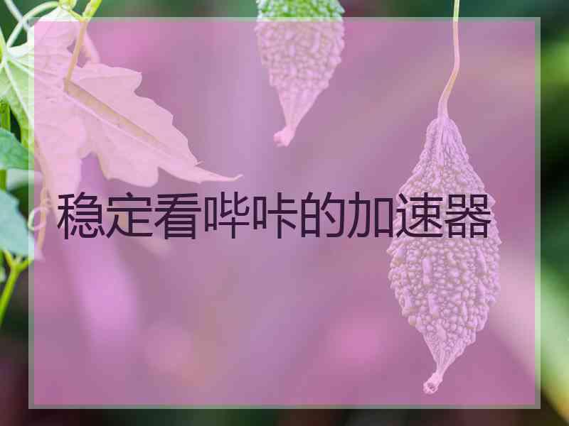 稳定看哔咔的加速器