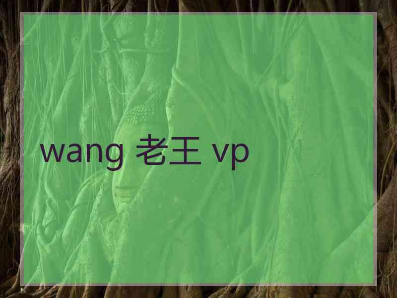wang 老王 vp