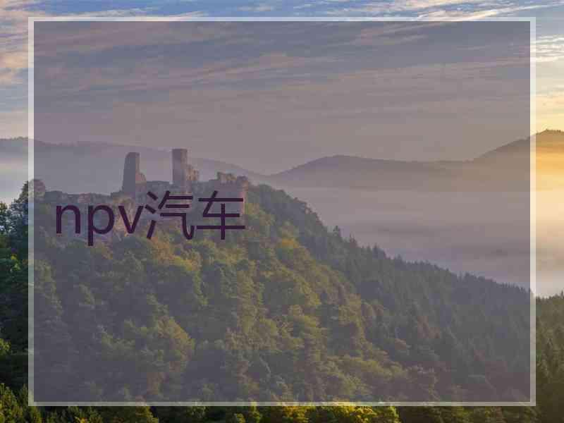 npv汽车