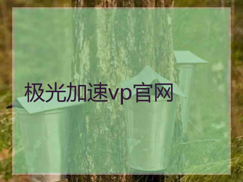 极光加速vp官网