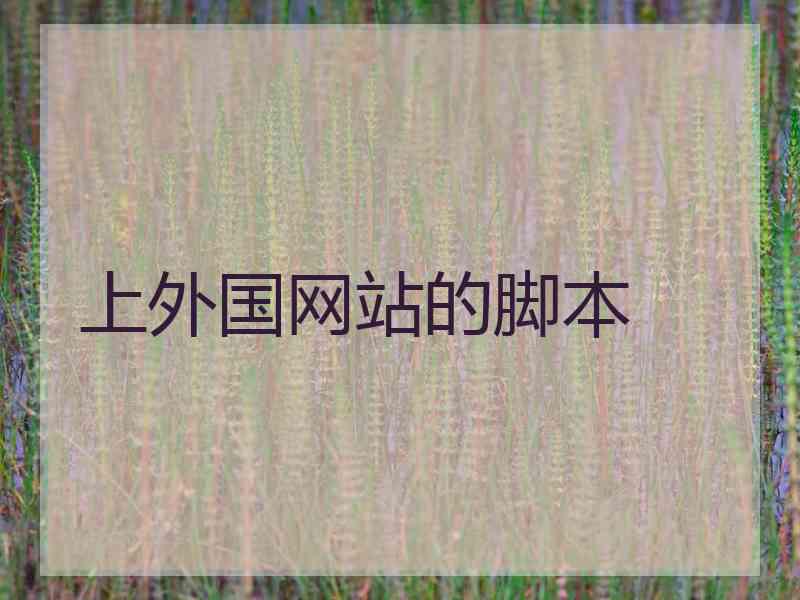 上外国网站的脚本
