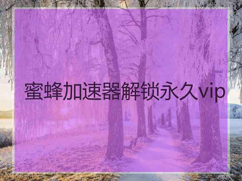 蜜蜂加速器解锁永久vip