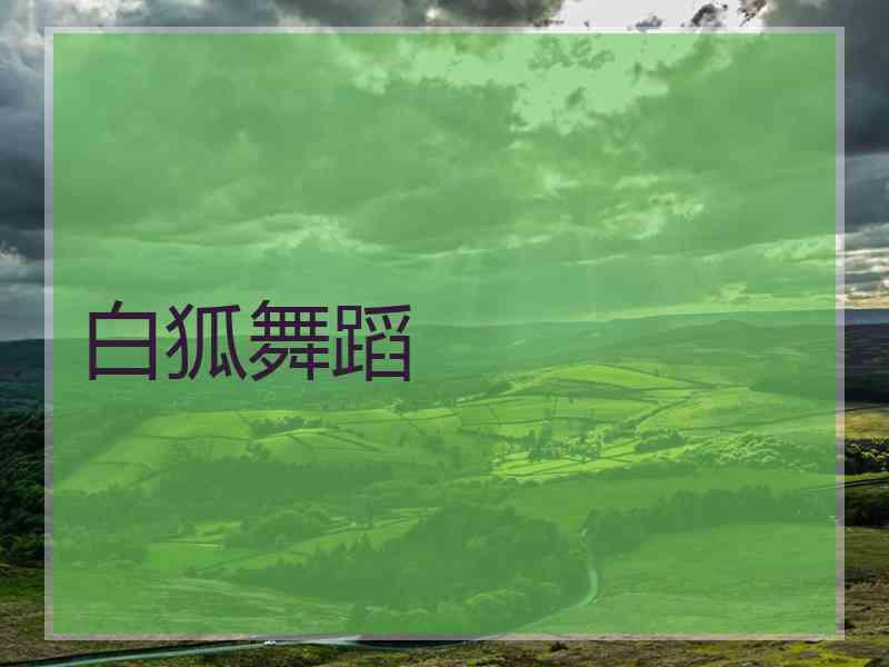 白狐舞蹈