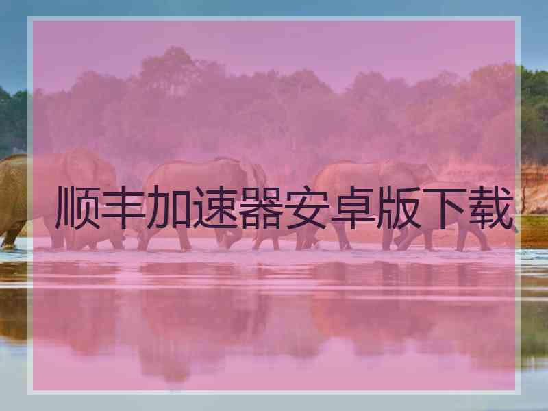 顺丰加速器安卓版下载