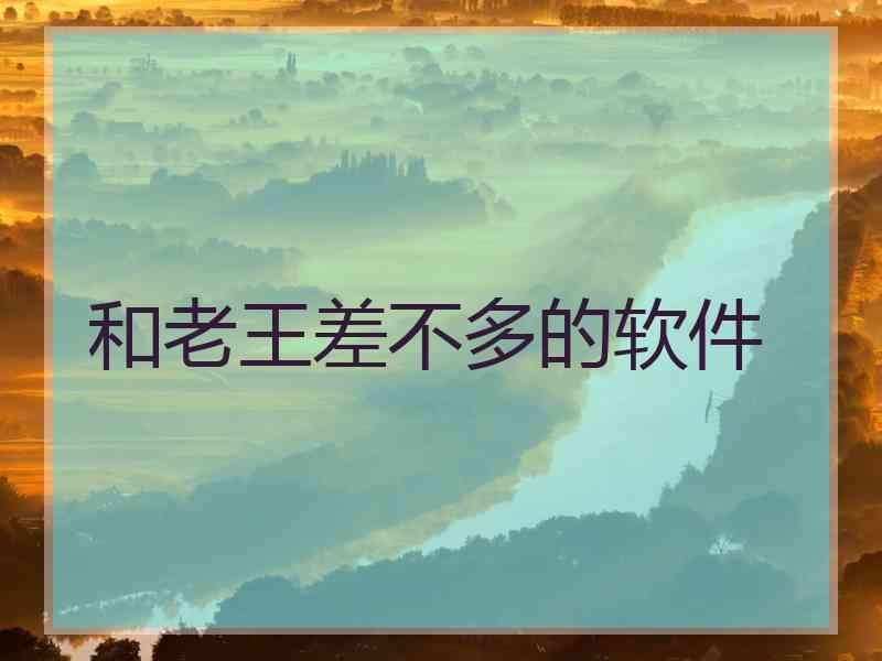 和老王差不多的软件