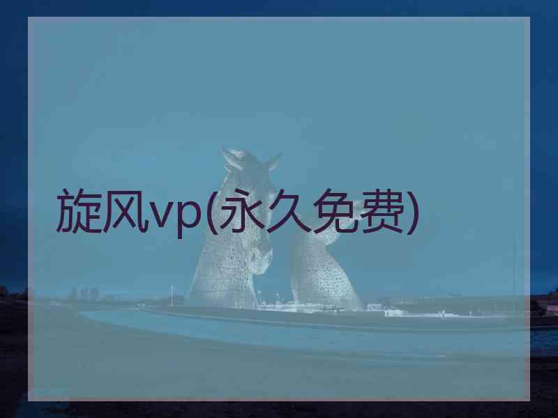 旋风vp(永久免费)