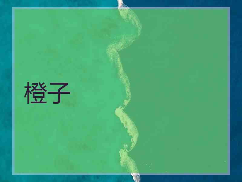 橙子