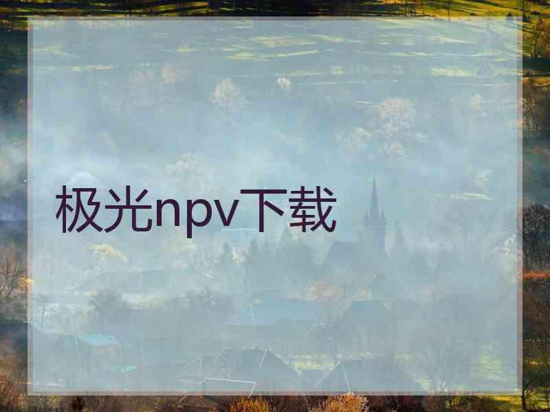 极光npv下载