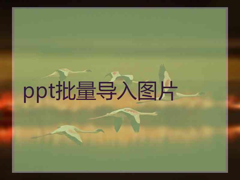 ppt批量导入图片