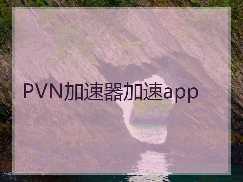 PVN加速器加速app