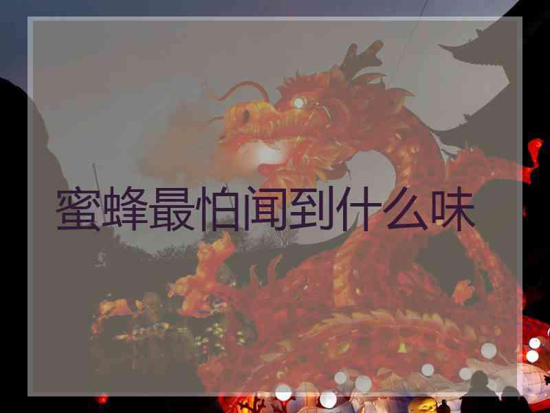 蜜蜂最怕闻到什么味