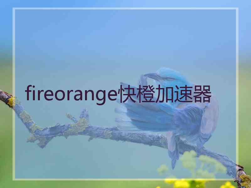 fireorange快橙加速器