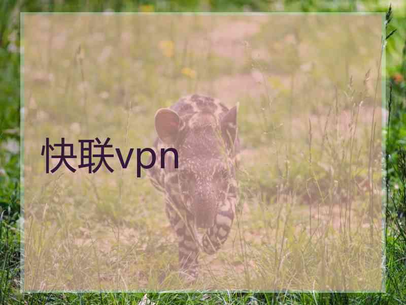 快联vpn