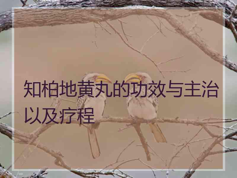 知柏地黄丸的功效与主治以及疗程