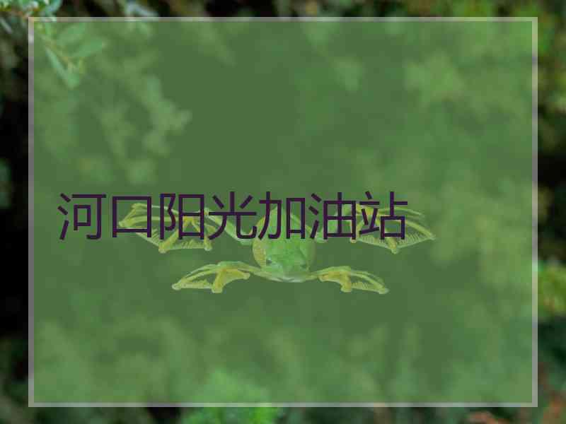 河口阳光加油站