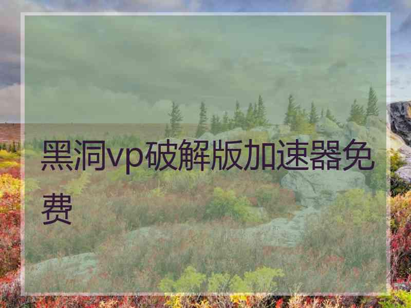 黑洞vp破解版加速器免费
