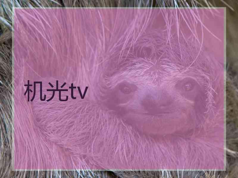 机光tv