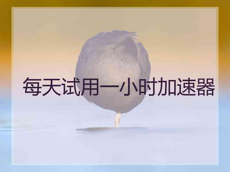 每天试用一小时加速器