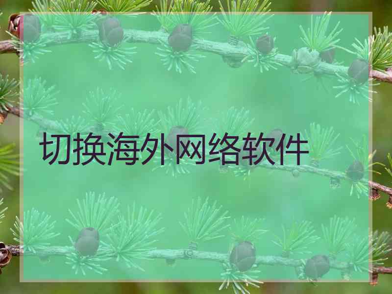 切换海外网络软件
