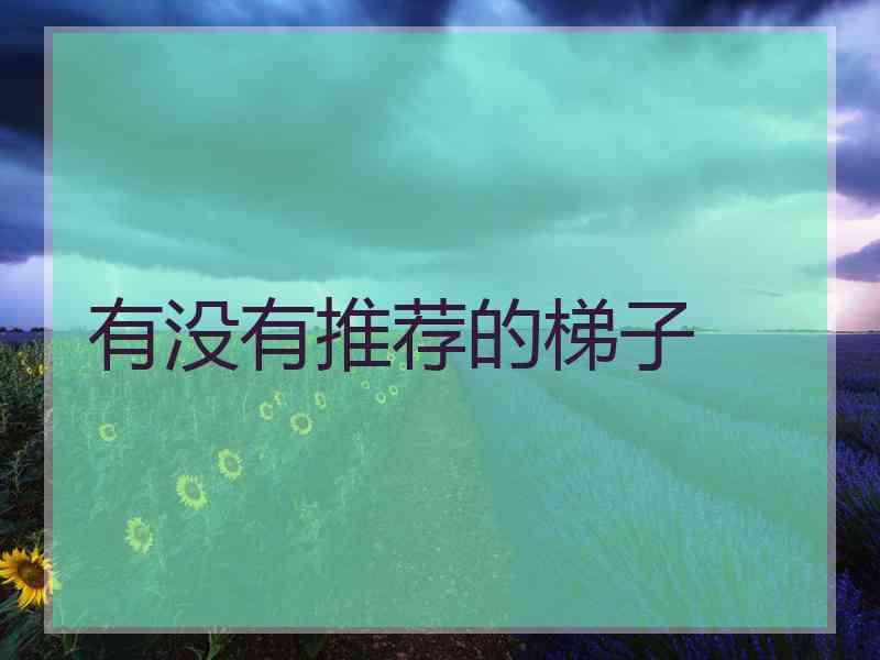 有没有推荐的梯子