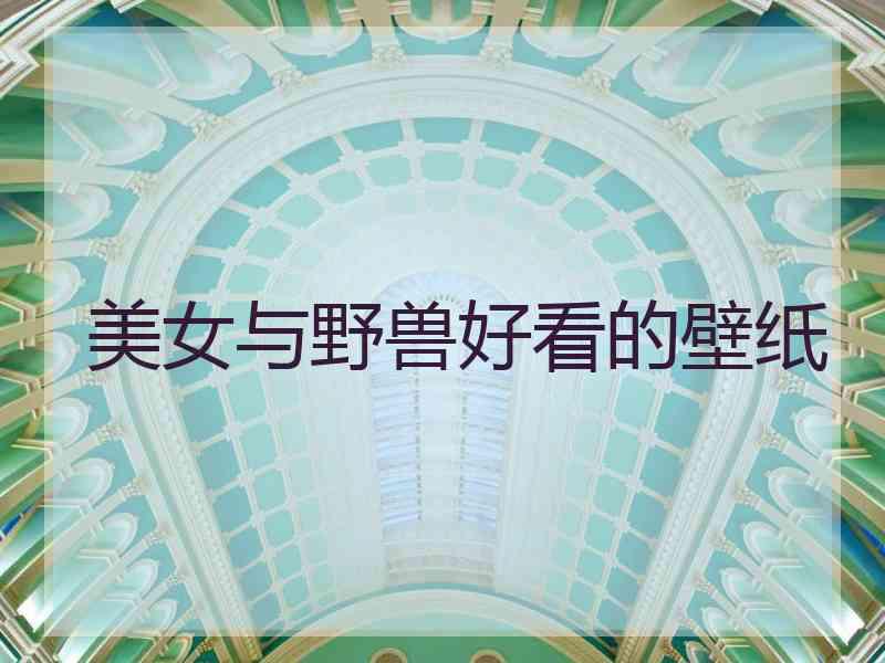 美女与野兽好看的壁纸