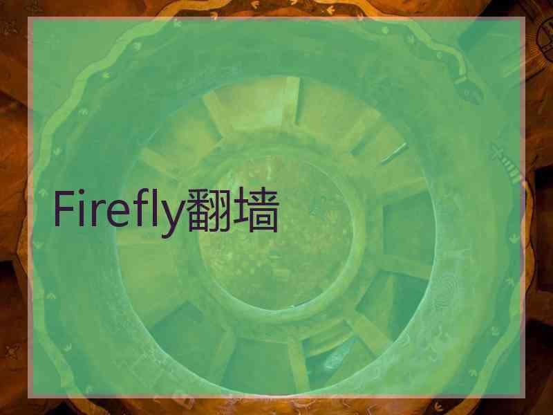 Firefly翻墙