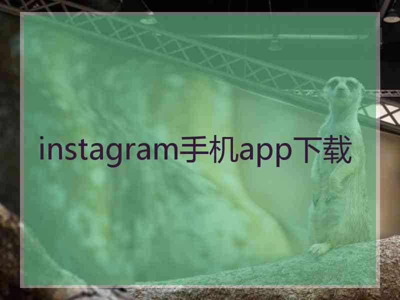 instagram手机app下载