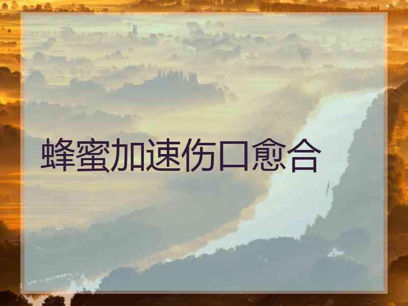 蜂蜜加速伤口愈合