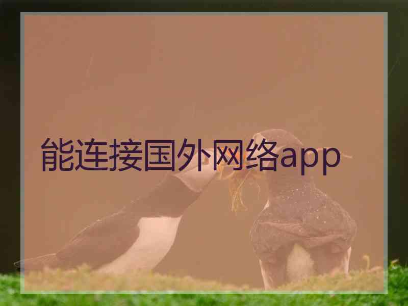 能连接国外网络app