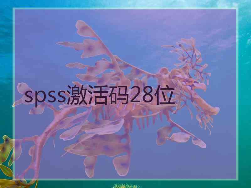 spss激活码28位