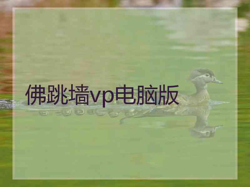 佛跳墙vp电脑版